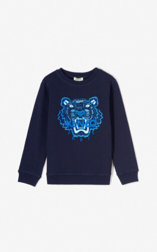 Kenzo Kids Boys Tiger Sweatshirt