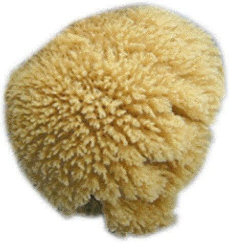 4EVER Facial Sea Sponges 4 Per Pack