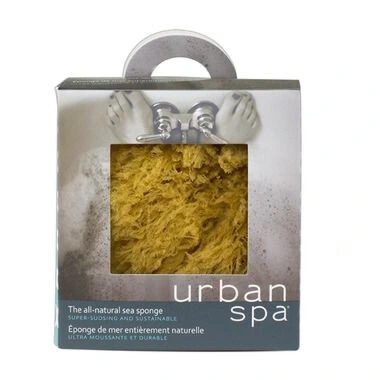 4EVER Body Sea Sponge