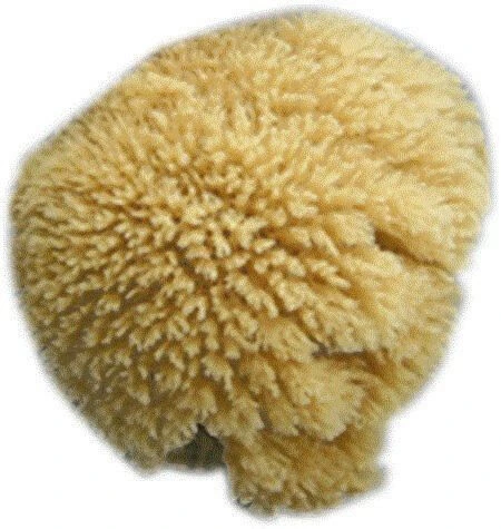 4EVER Facial Sea Sponges 4 Per Pack