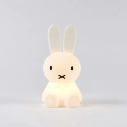 Mr. Maria Miffy Lights - Bundle of Light S