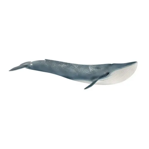Schleich Blue Whale