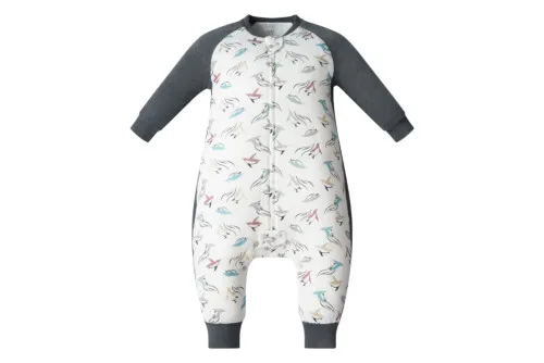 Nest Designs Raglan Bamboo Long Sleeve Footed Sleep Bag 2.5 TOG - Rainbow Swim 6M-18M