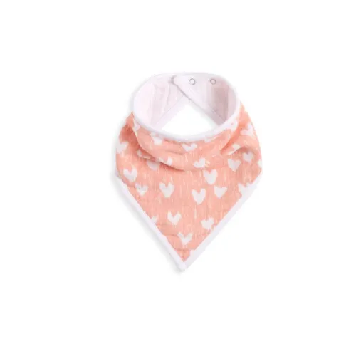Aden & Anais Classic  Bandana Bib - Flock Together